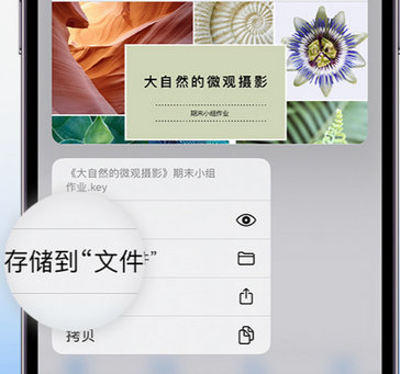 固镇apple维修中心分享iPhone文件应用中存储和找到下载文件