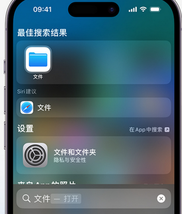 固镇apple维修中心分享iPhone文件应用中存储和找到下载文件