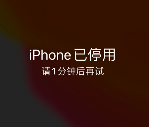 固镇苹果手机维修分享:iPhone 显示“不可用”或“已停用”怎么办？还能保留数据吗？ 