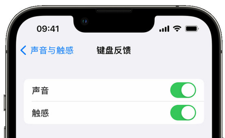 固镇苹果手机维修分享iPhone 14触感键盘使用方法 