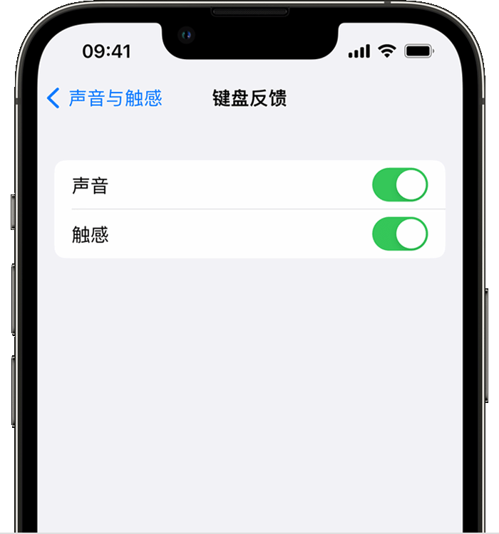 固镇苹果14维修店分享如何在 iPhone 14 机型中使用触感键盘 