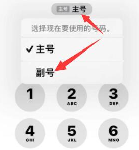 固镇苹果14维修店分享iPhone 14 Pro Max使用副卡打电话的方法 