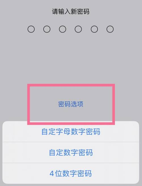 固镇苹果14维修分享iPhone 14plus设置密码的方法 