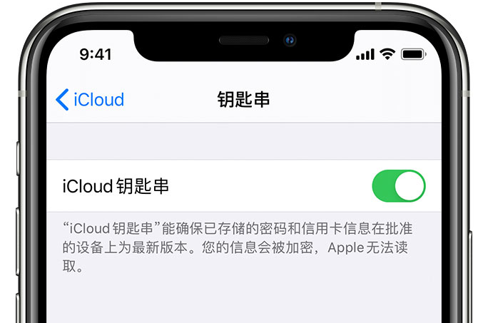 固镇苹果手机维修分享在 iPhone 上开启 iCloud 钥匙串之后会储存哪些信息 