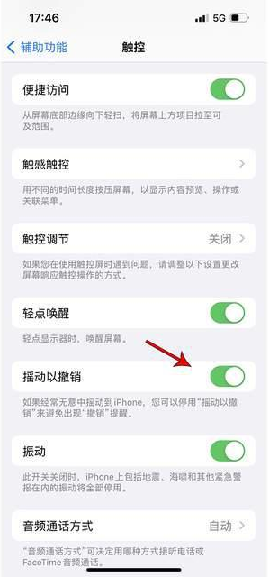 固镇苹果手机维修分享iPhone手机如何设置摇一摇删除文字 